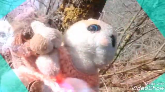 Фото з балке🐝🐝🌄 смотреть онлайн