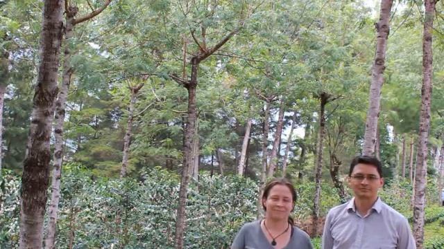 Meet Santa Felisa Growers смотреть онлайн