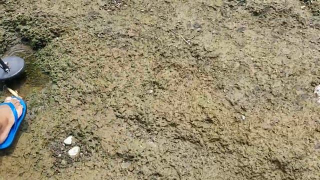 Cari emas di sungai brantas - dapat koin dan kacamata antik - metal detektor indonesia смотреть онлайн