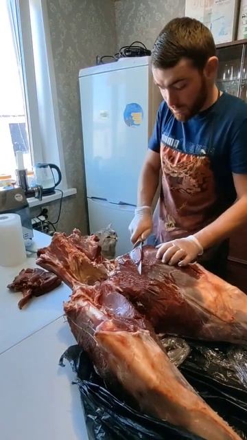 колбаса из горного марала.(колбаса из оленя)#shorts #reels #totalgaming #top #коптильня #домашнееоб смотреть онлайн