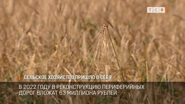 Сельское хозяйство пришло в себя