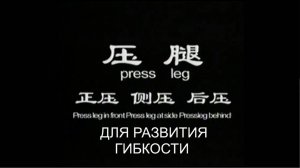 Основы базовой техники УШУ  (часть 1 )