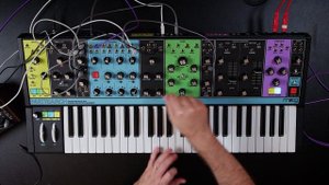 Moog Spectravox + Matriarch pt 2 - Softer Tones