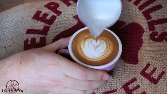 Coffeefusion Latte Art - Season 2 Episode 8 смотреть онлайн