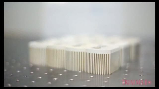 Trialma Ⅱ Video Mini 808 Diode Laser смотреть онлайн