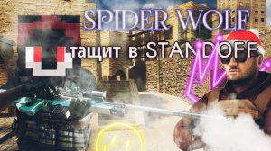 SPIDER WOLF тащит в STANDOFF/ БЕЗ КОММЕНТАРИЕВ