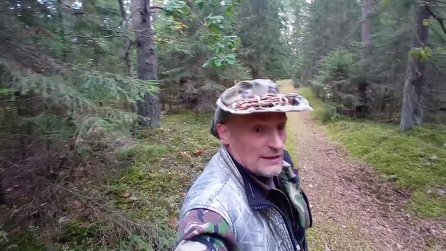 За ГРИБАМИ и не спеша. Обустраиваю наш ХУТОР. сери 36/1часть смотреть онлайн