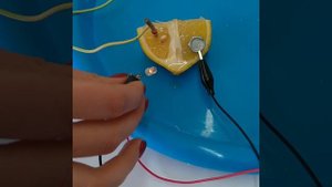 Электрохимия