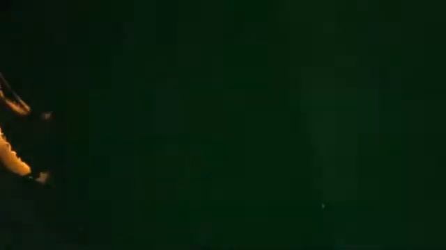 Tuborg Moscow night Dj Viper смотреть онлайн