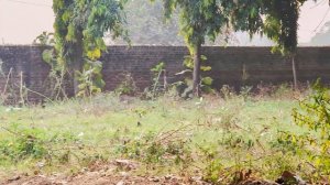 Знакомьтесь: Наши Индийские Родители | Замуж в Индию | Свекровь