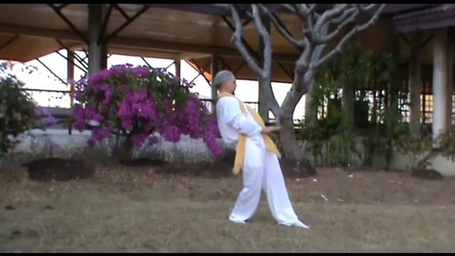 Мастер Игорь Ян. Исцеляющие техники Востока. смотреть онлайн