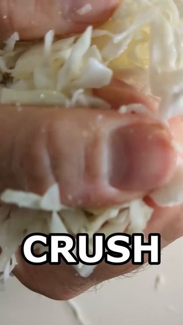 Fight Inflation With This $2 Sauerkraut Recipe Part 1