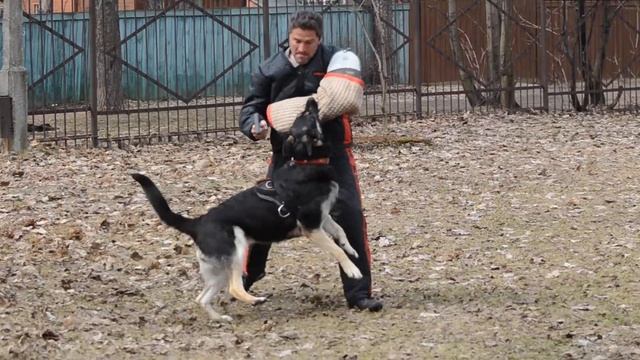 Моншер Вирсаль Сицилия 2пуск смотреть онлайн