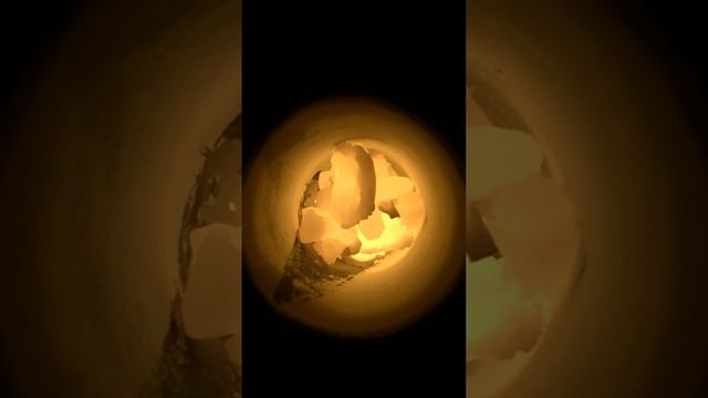 Ducatron quatro Ugin by Florin Ionescu смотреть онлайн