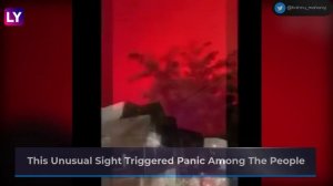 Zhoushan Sky Turns Red, Watch The Strange Phenomena That Occurred In China On May 7