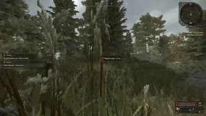STALCRAFT Гайд по квестам на болоте. "Якорь", "Убежище зелёного деда" и тд.