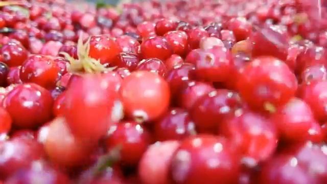 0cc0d93d 8248 4fb9 8f59 571f0af04f01 9 30 2021 klukva 950 смотреть онлайн