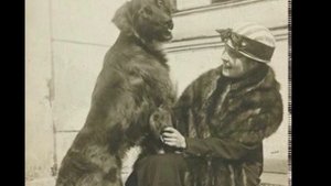 История жизни. Лиля Брик. Главная любовь Владимира Маяковского. History. Lilya Brick. Mayakovsky.