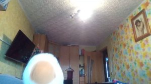 Песня добыча