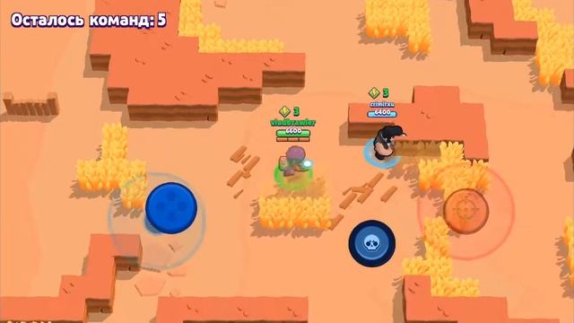 Играем в браво Старс нита смотреть онлайн