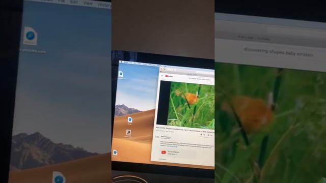 Baby dolittle neighborhood animals mouse смотреть онлайн