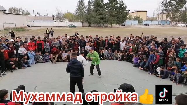 гуштини милли