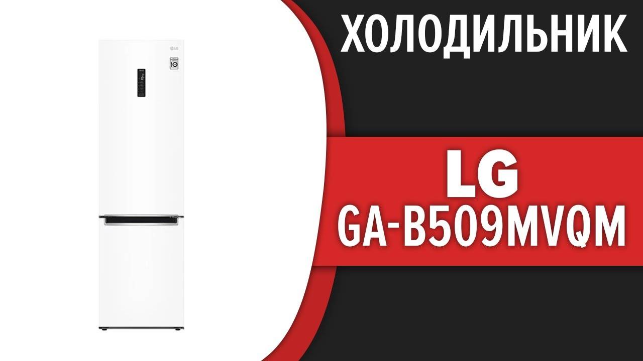 обзор холодильника LG GA B509MVQM умный холодильник смотреть онлайн