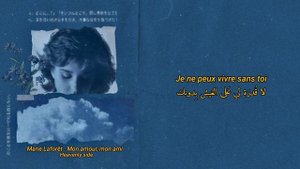 Marie Laforêt | mon amour mon ami (lyrics) مترجمة