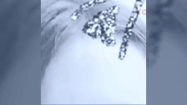 Редактор фото смотреть онлайн