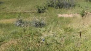 осцилирующий разбрызгиватель при 2 атмосферах