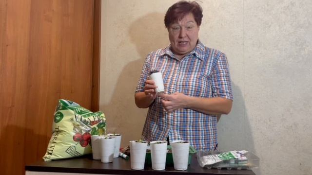 ПИКИРУЕМ РАССАДУ ЭУСТОМЫ