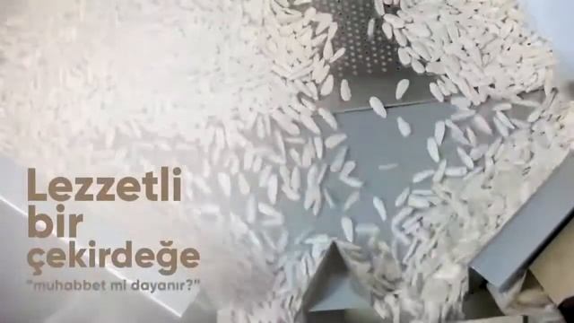 AVSARLAR KURUYEMIS LOKUM. HARBIDEN ON NUMARA смотреть онлайн