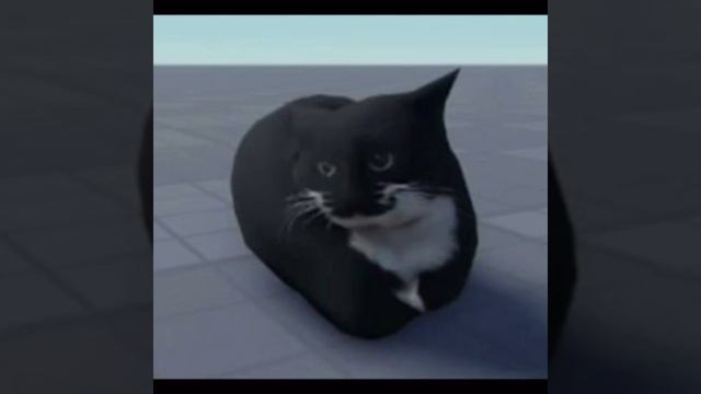 Maxwell The Cat Official Clip
