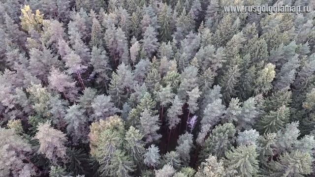 Левашово
