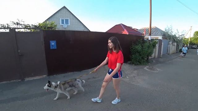 Влог из провинции смотреть онлайн