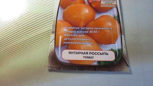 Томат Янтарная россыпь от агрофирмы "Поиск".