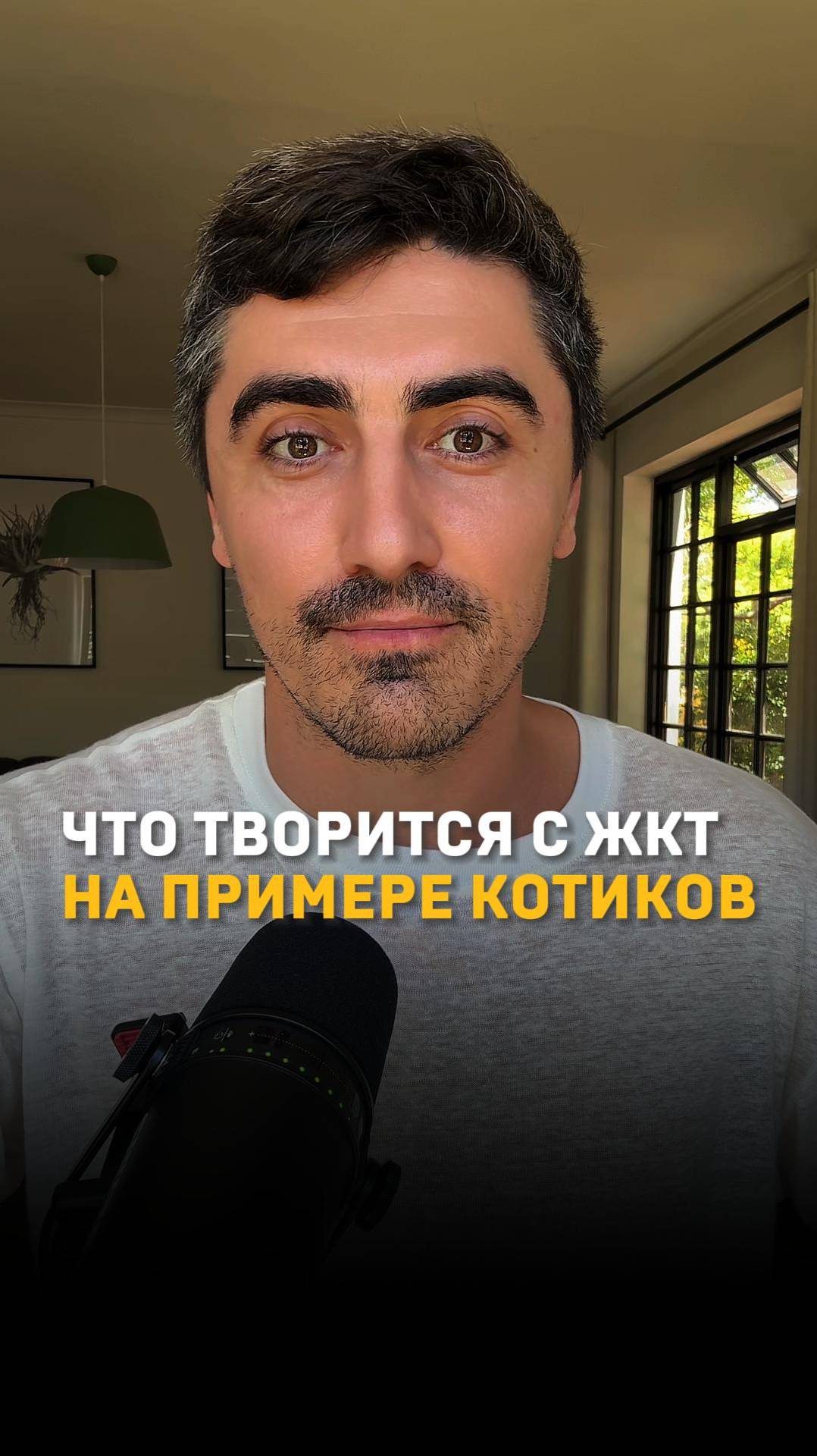 Где ветеринария обошла нашу медицину