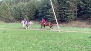 СОБСТВЕННАЯ КОНЮШНЯ, ПОМЕСТЬЕ  РЕМОНТ И СТРОИТЕЛЬСТВО КСК В ЕЛАБУГЕ