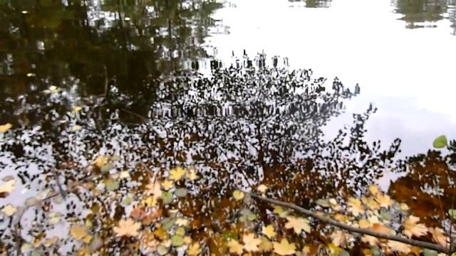 отражение смотреть онлайн