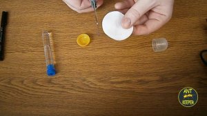 Поилка для муравьев - лайфхак