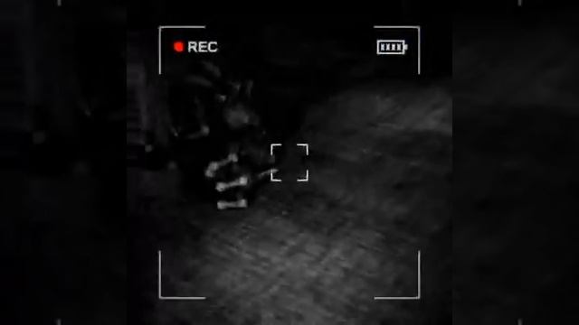 СУПЕР ВЕДУЩИЙ В CONTENT WARNING))) смотреть онлайн