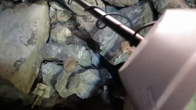 defineci ormanda gizli oda buluyor!!! смотреть онлайн