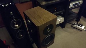dynaudio special forty + Hegel H390 в салоне adk.audio