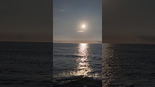 VID_20250125_160351