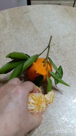 Последние мандарины...