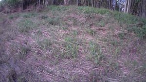 Рыбалка на реке Моша