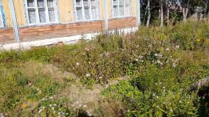 «Вокруг - вдоль»  Школы п.Комсомольск на Печоре: