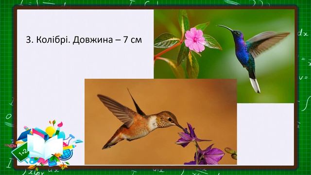 Математика у природі (2 клас) смотреть онлайн