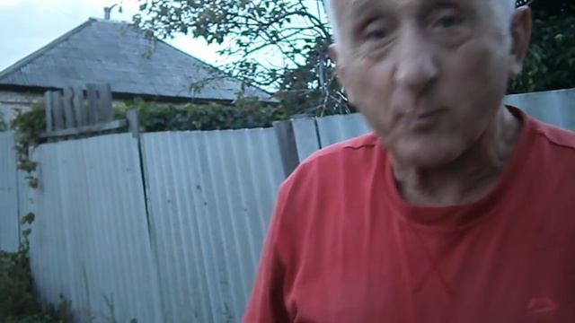 Голуби переезжают на новое место смотреть онлайн