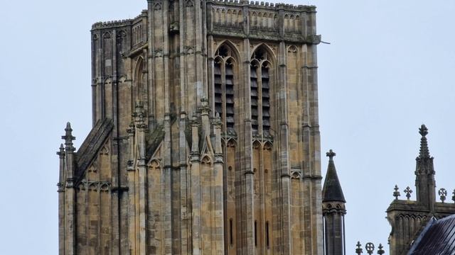 Wells Bishops' Palace, The City of Wells, Somerset, Southern England (UK) - January 2023 смотреть онлайн